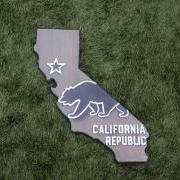 California Wood Sign – CA State flag with bear design and wood burn detail | California Republic  (Dark gray)